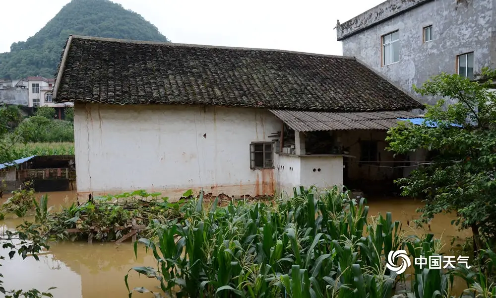 百色市隆林县隆或镇24日凌晨遇特大暴雨 百色,百色市,隆林,隆林县,林县