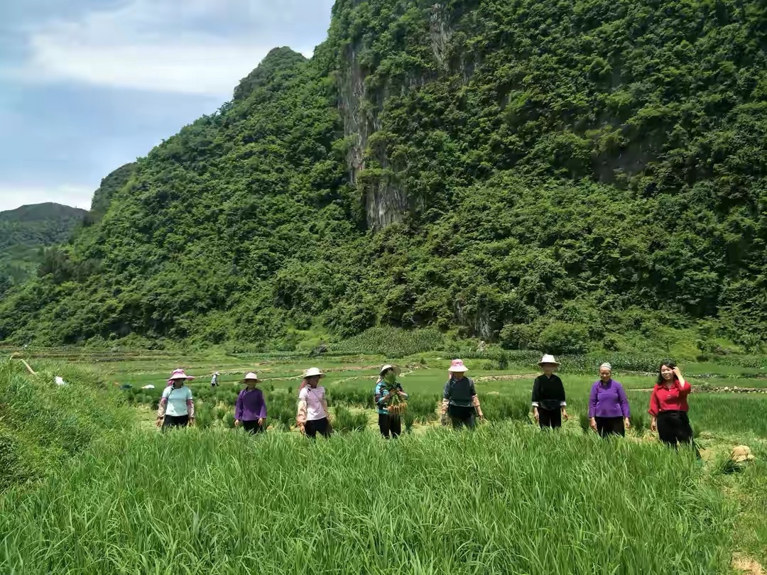 驻村第一书记：田间地头传政策、话家常、听民声 第一,第一书记,一书,书记,田间