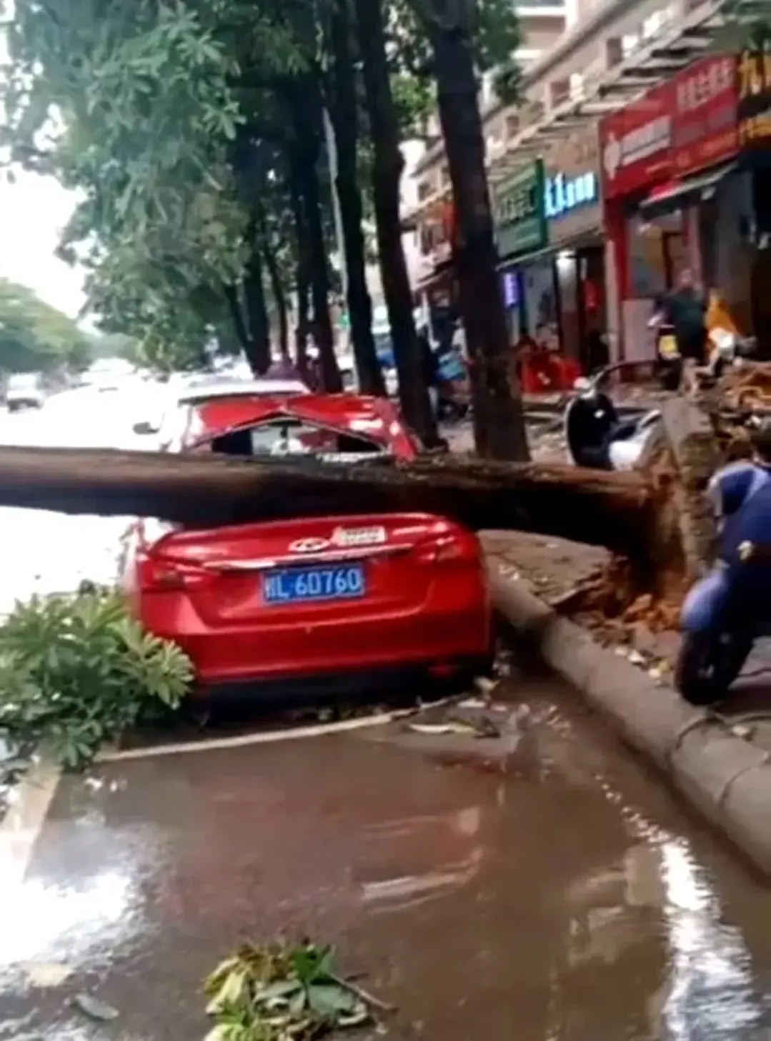 百色突然遭遇大风与暴雨！现场有点惨哦！ 百色,突然,遭遇,大风,暴雨