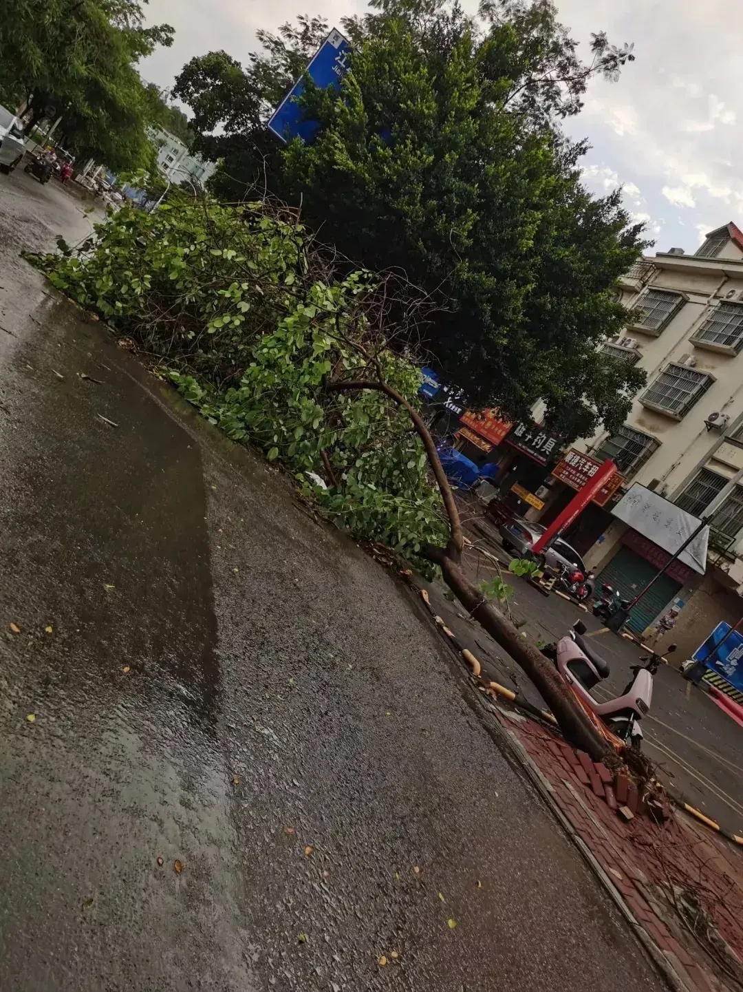 百色突然遭遇大风与暴雨！现场有点惨哦！ 百色,突然,遭遇,大风,暴雨