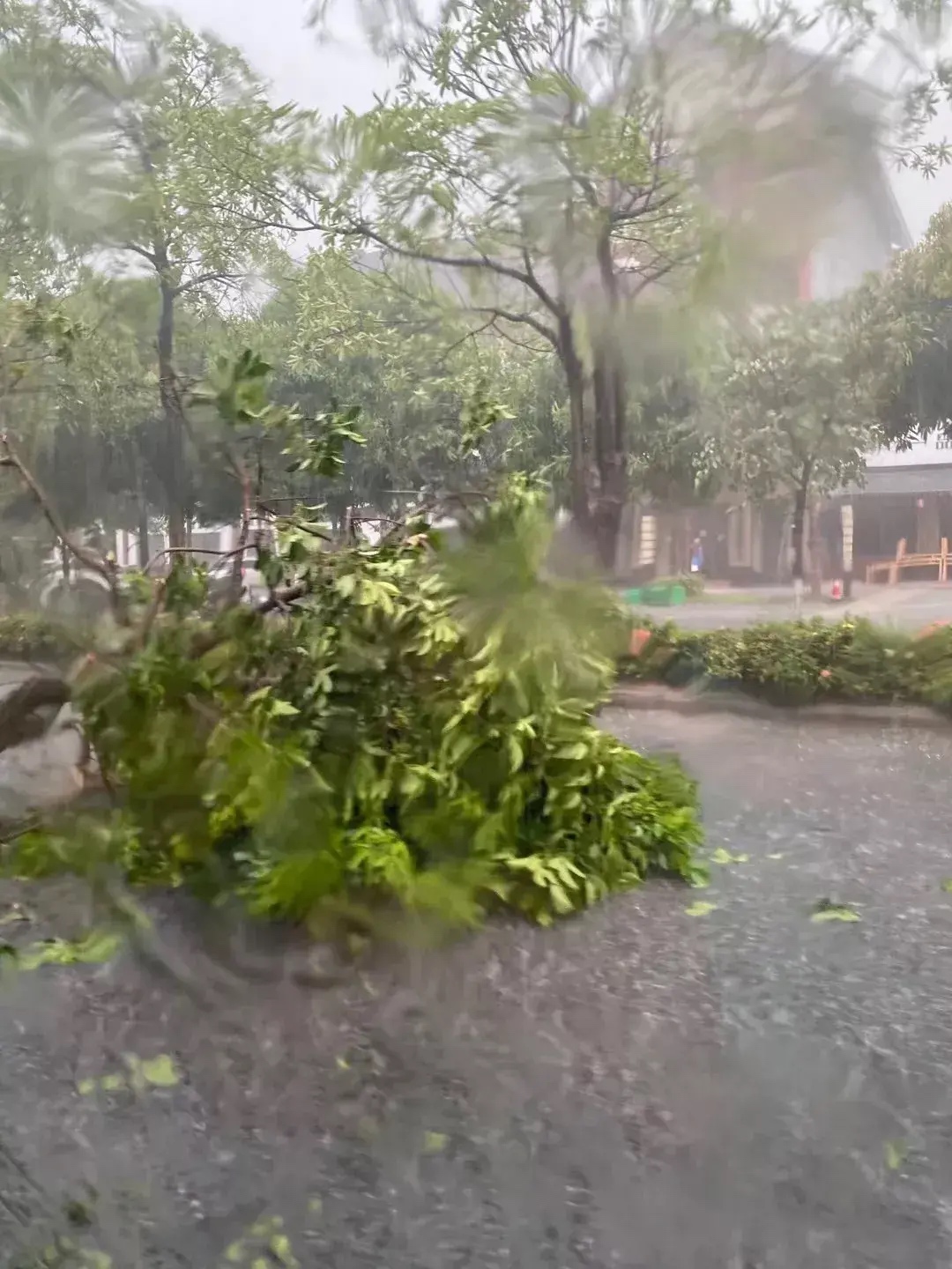 百色突然遭遇大风与暴雨！现场有点惨哦！ 百色,突然,遭遇,大风,暴雨