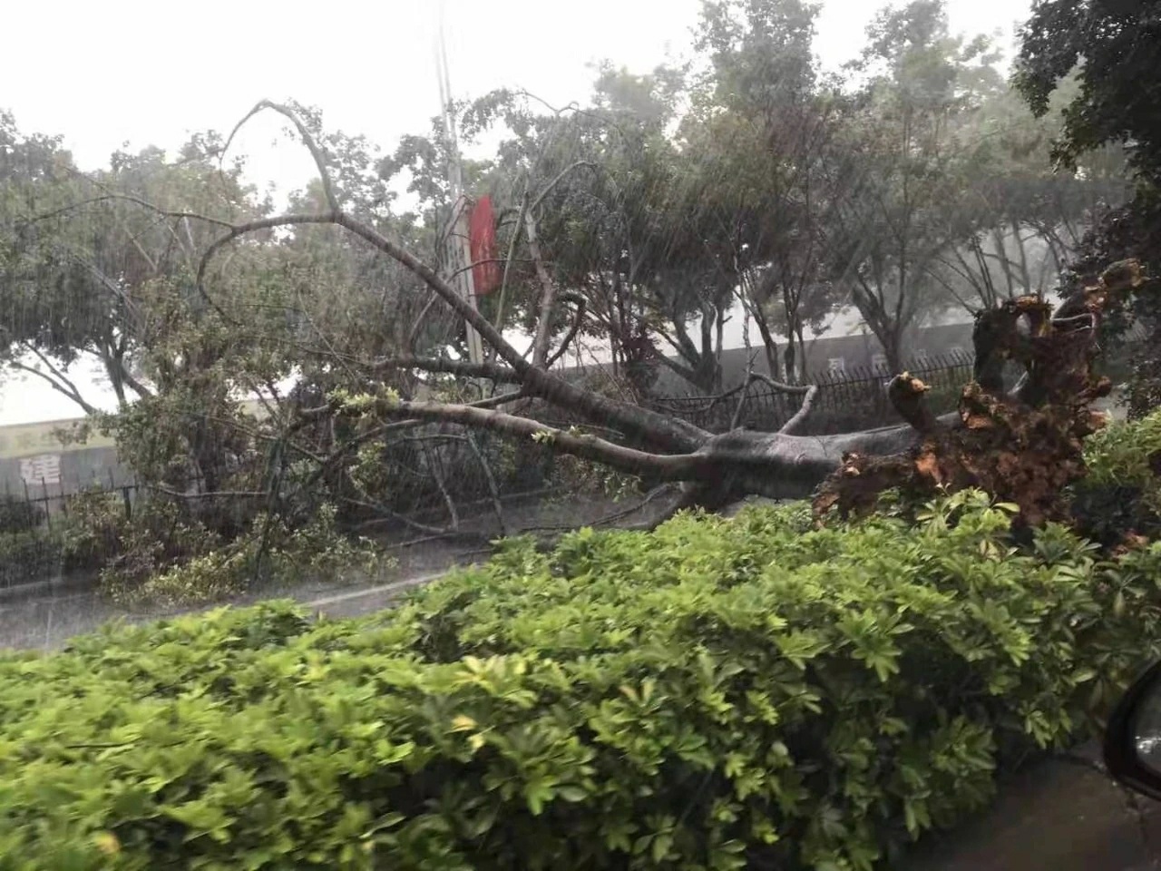 百色狂风暴雨老人街头淋雨，路人赠伞后默默离去 百色,狂风,狂风暴雨,风暴,暴雨