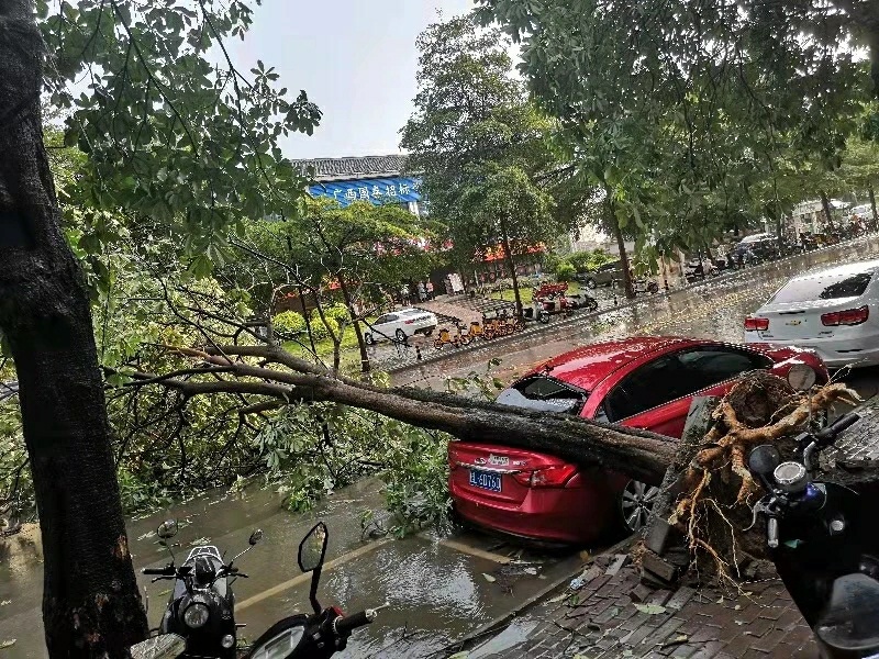 百色狂风暴雨老人街头淋雨，路人赠伞后默默离去 百色,狂风,狂风暴雨,风暴,暴雨