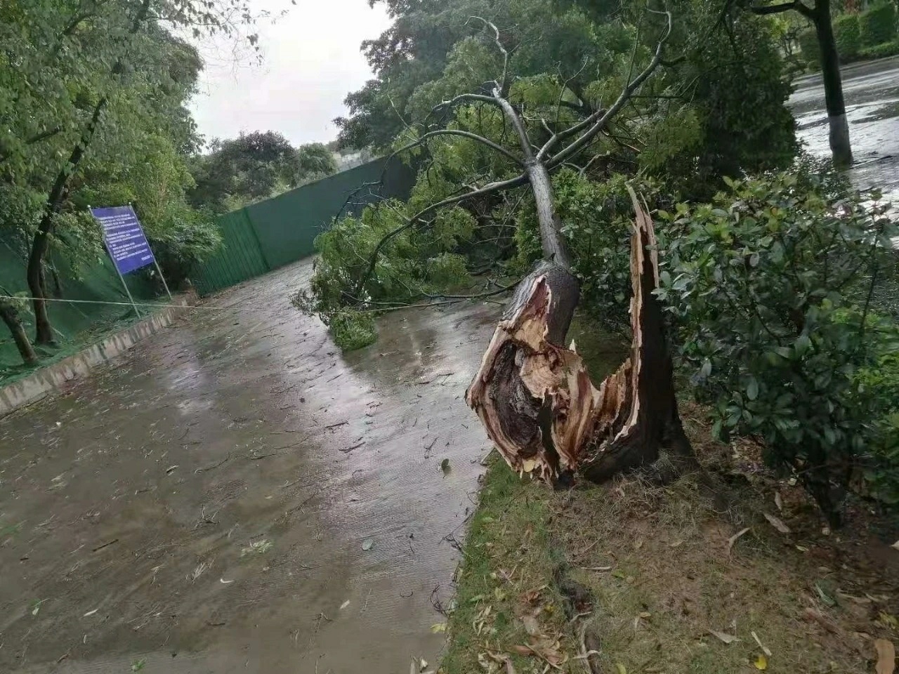 百色狂风暴雨老人街头淋雨，路人赠伞后默默离去 百色,狂风,狂风暴雨,风暴,暴雨