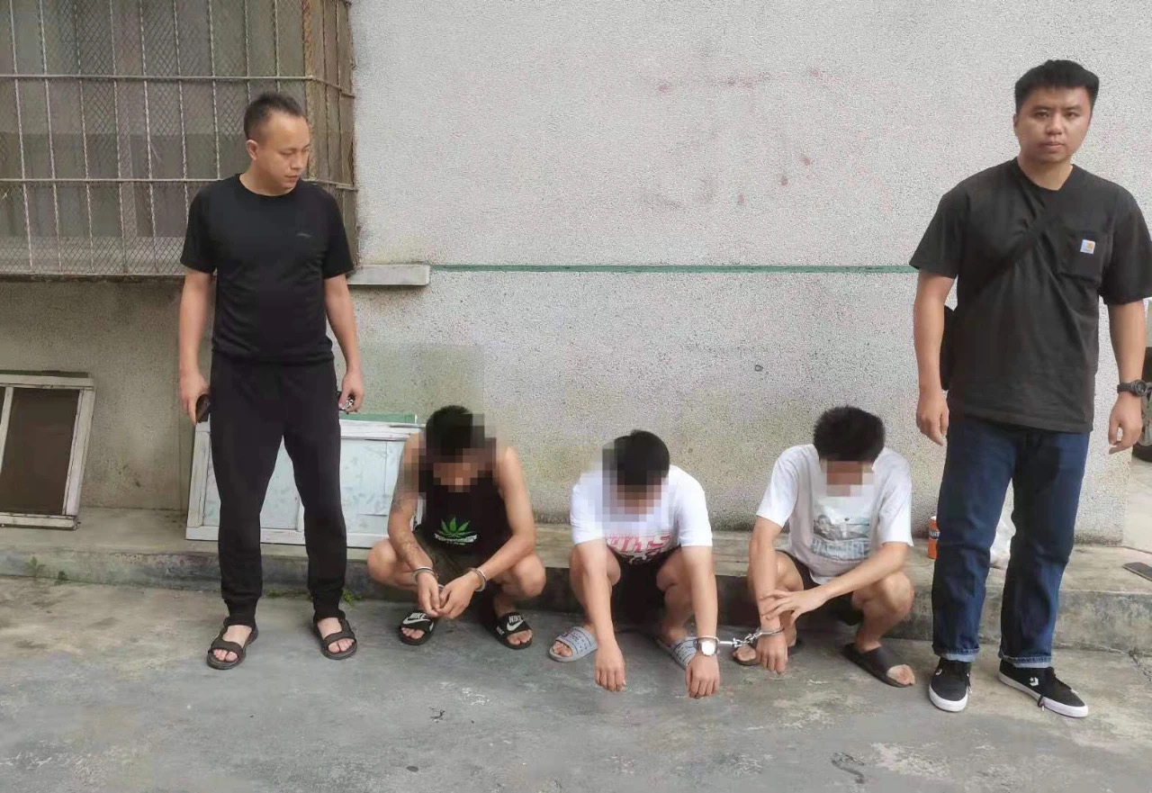 凌云警方跨三省追捕 7名诈骗犯罪嫌疑人落网 凌云,警方,三省,追捕,诈骗