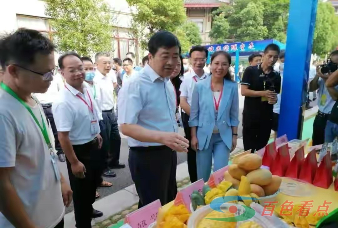 百色市益众农业科技有限公司参加首届中国芒果产业大会 百色,百色市,农业,农业科技,科技