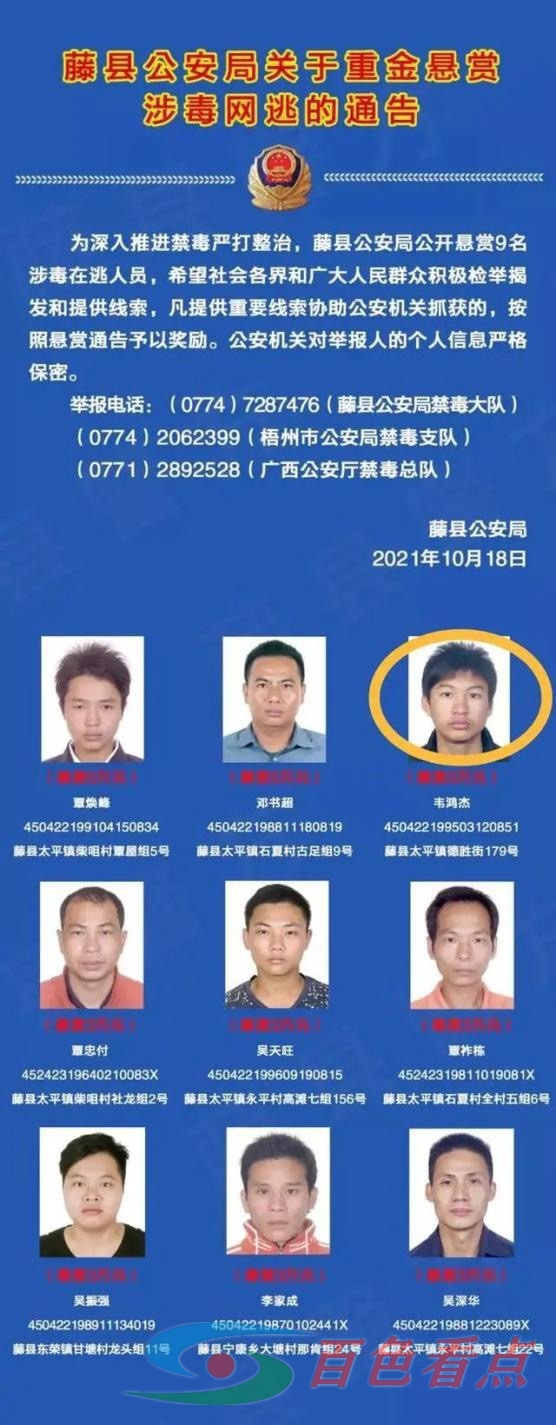 男子在百色涉毒品案警方悬赏31万缉捕！其父亲将他送到公安局 男子,百色,涉毒,毒品,警方