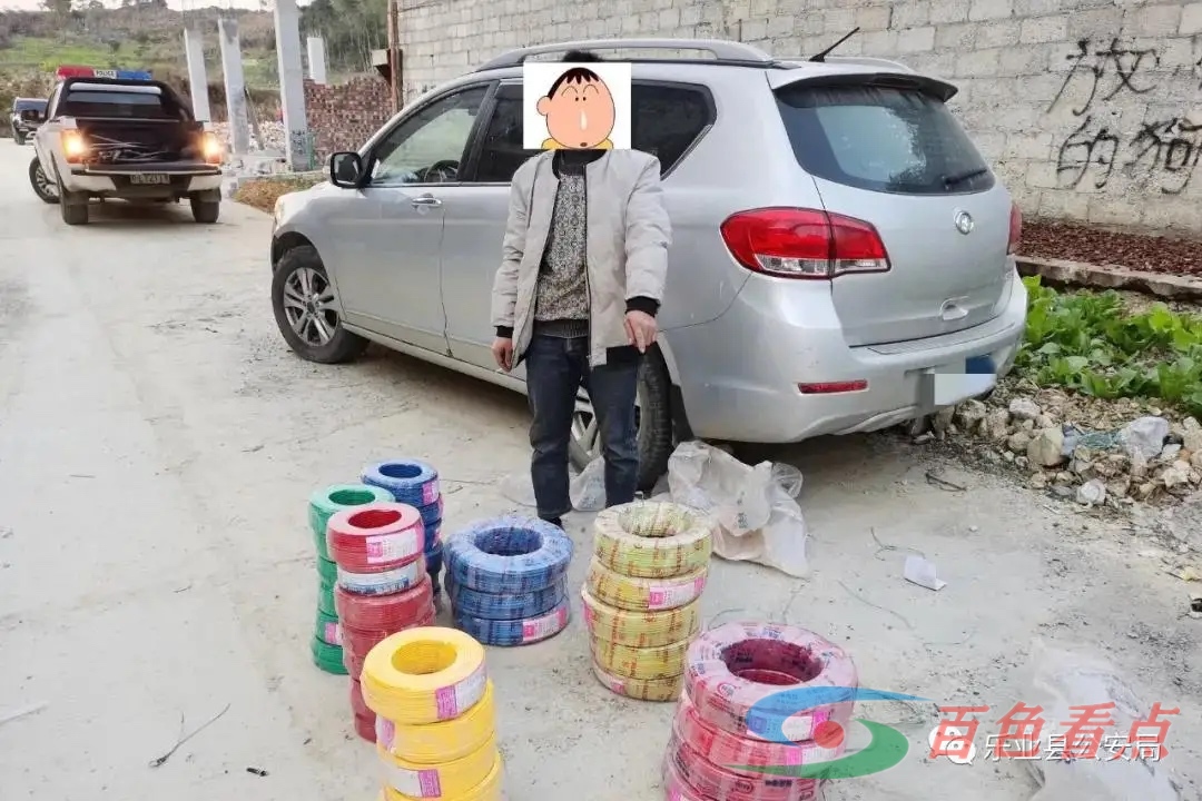 乐业警方破获2起电缆线盗窃案 涉案12万余元 抓获6名犯罪嫌疑人 乐业,警方,破获,2起,起电