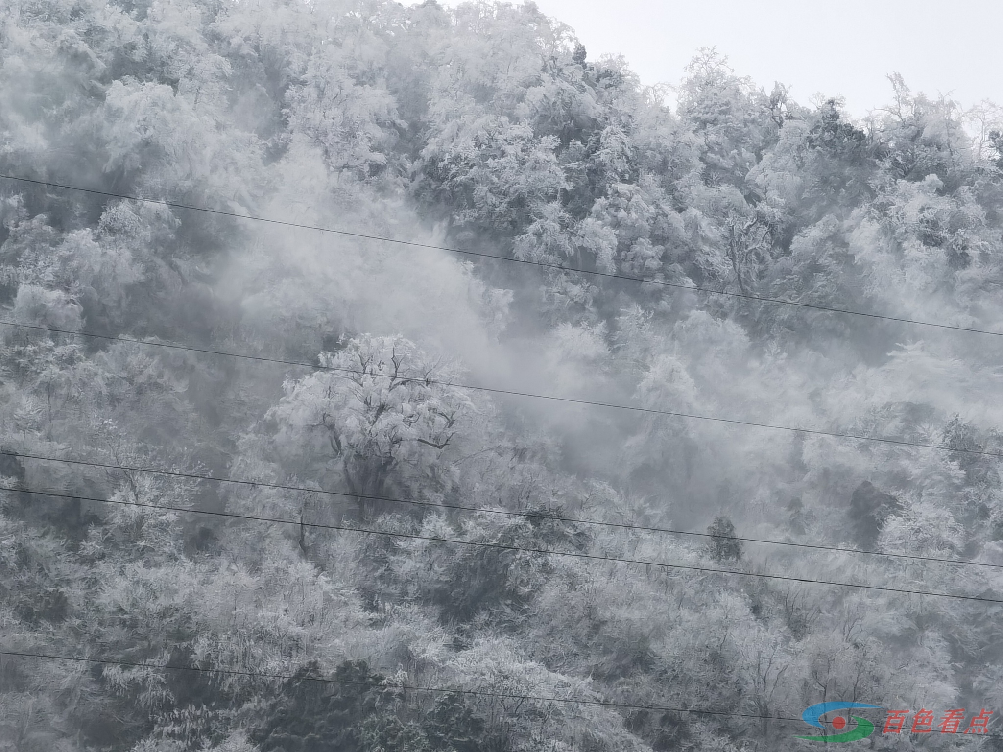 岑王老山全部变白了！很美！ 王老,老山,全部,变白,白了