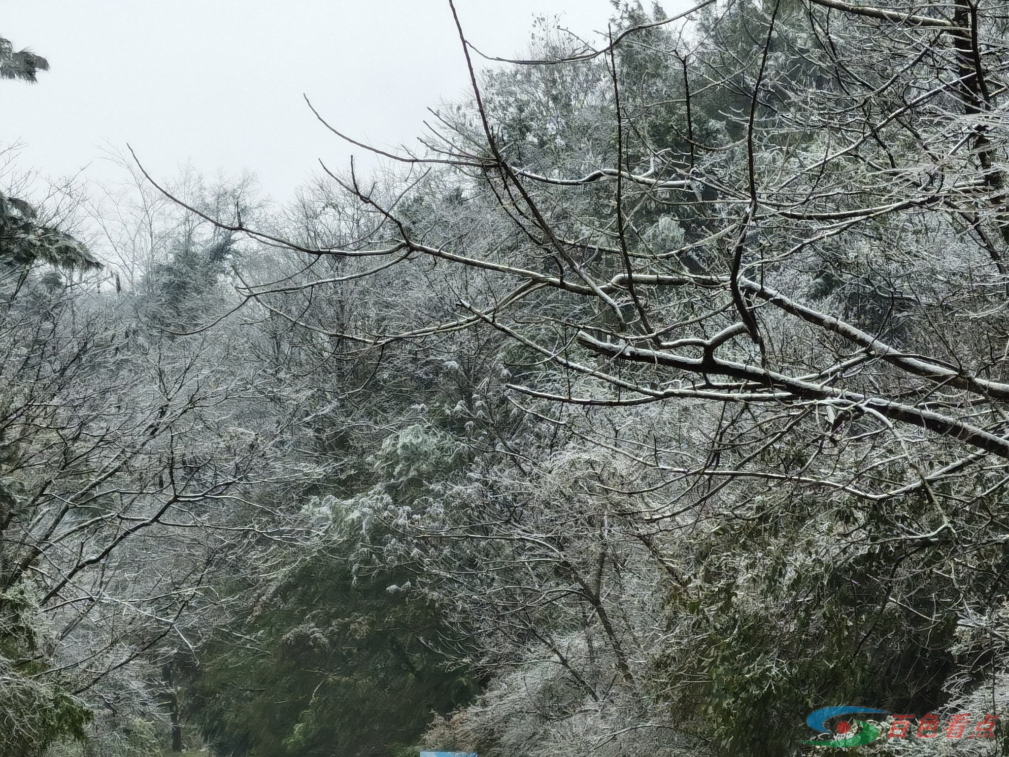 岑王老山全部变白了！很美！ 王老,老山,全部,变白,白了