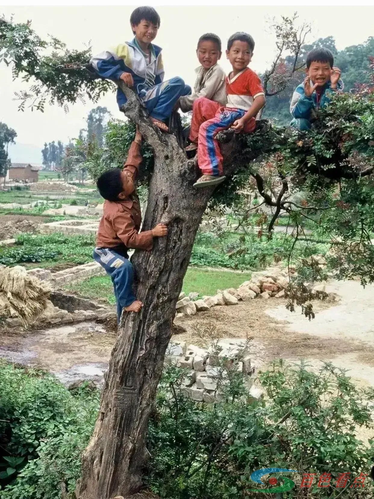 这张照片拍摄于1995年，坐标百色市田林县农村 张照,照片,拍摄,1995,1995年