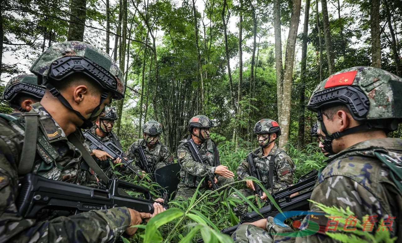 雷霆出击！直击武警官兵山林地捕歼战斗演练 