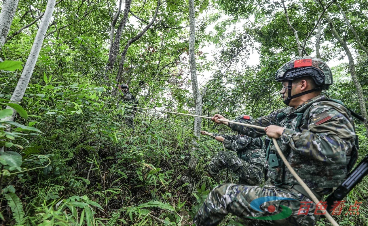 雷霆出击！直击武警官兵山林地捕歼战斗演练 