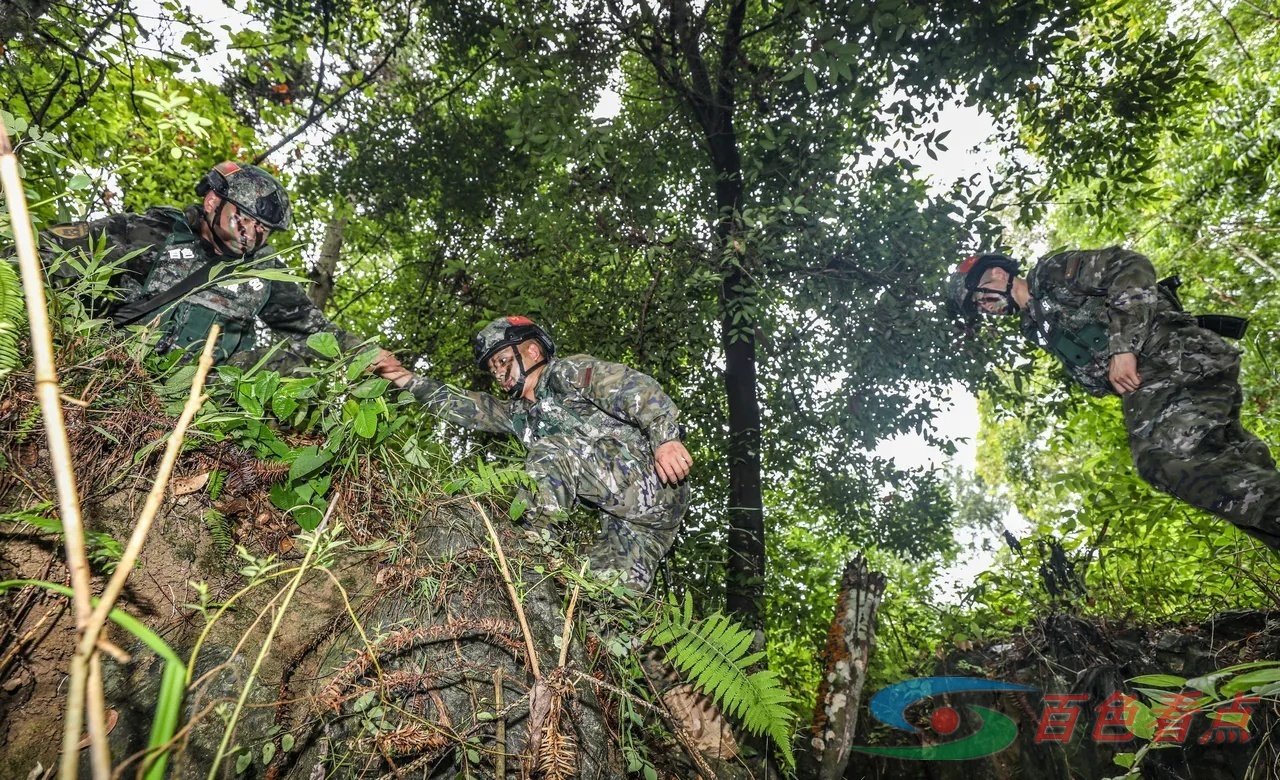 雷霆出击！直击武警官兵山林地捕歼战斗演练 