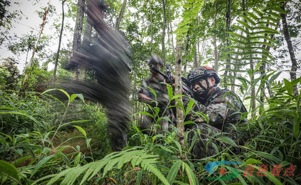 雷霆出击！直击武警官兵山林地捕歼战斗演练 