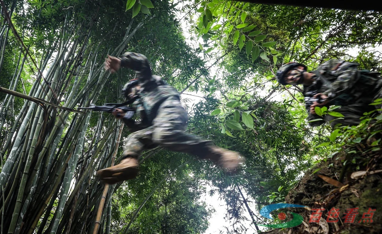 雷霆出击！直击武警官兵山林地捕歼战斗演练 