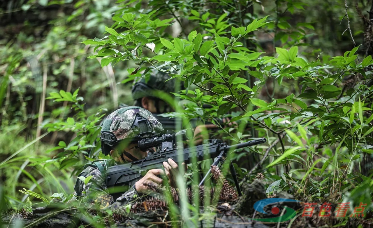 雷霆出击！直击武警官兵山林地捕歼战斗演练 