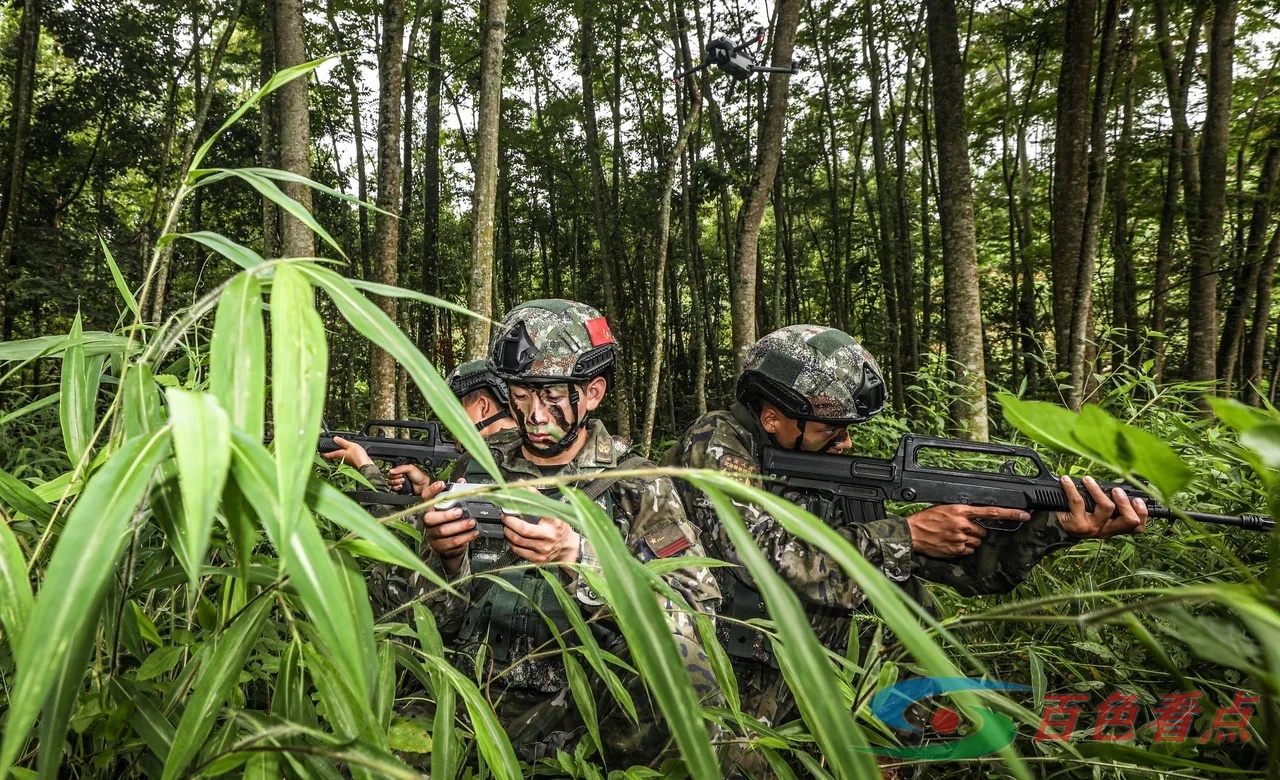 雷霆出击！直击武警官兵山林地捕歼战斗演练 