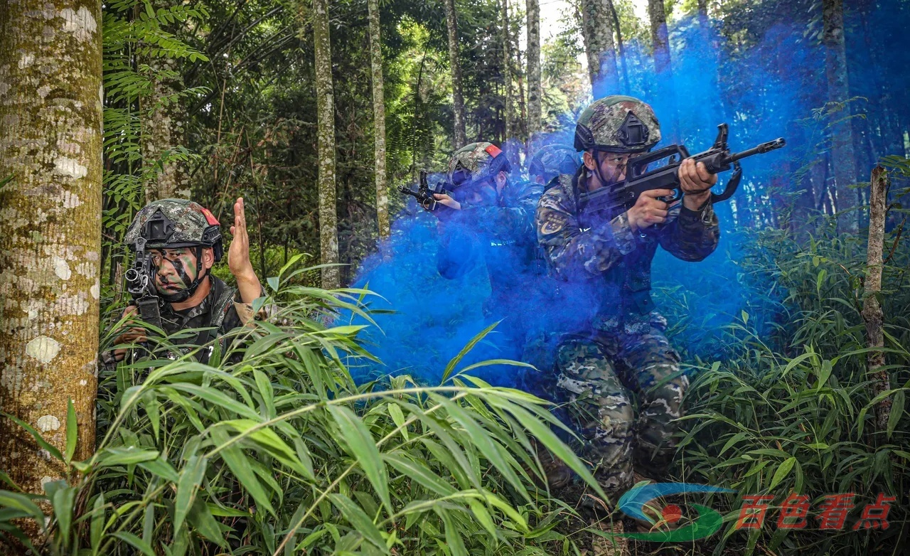 雷霆出击！直击武警官兵山林地捕歼战斗演练 