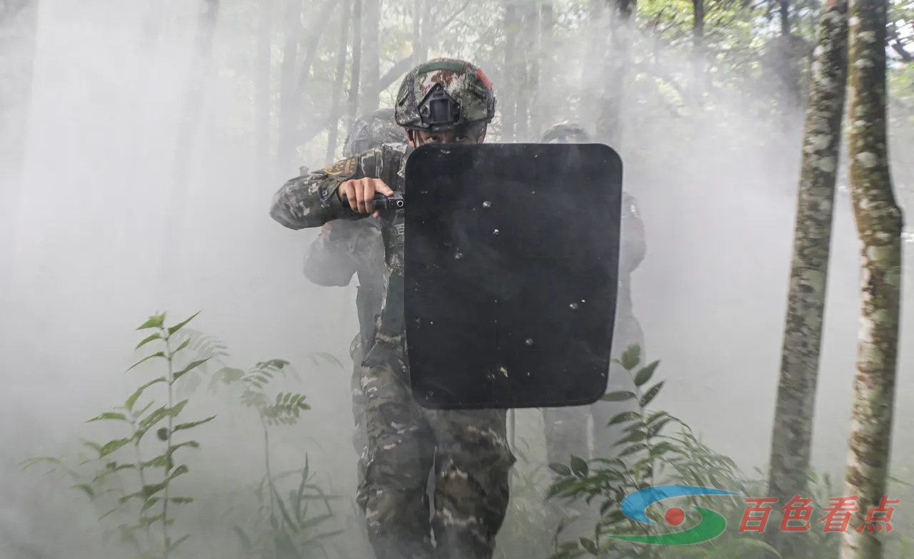 雷霆出击！直击武警官兵山林地捕歼战斗演练 