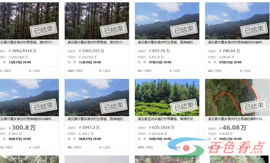 广西凌云浪伏茶业有限公司名下3500多亩杉木林和林地使用权被拍卖，900万就成交 