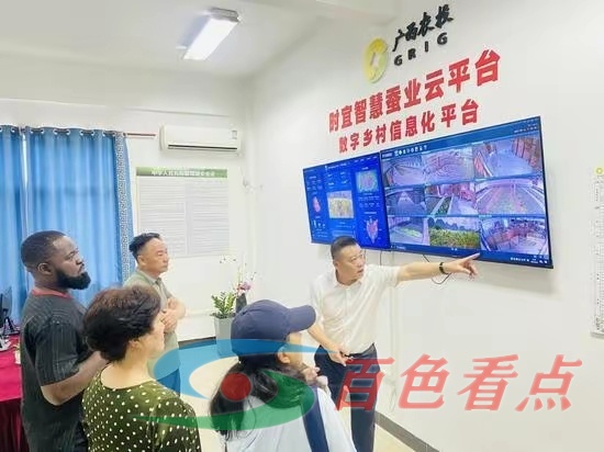 联合国世界粮食计划署官员到百色调研 联合国世界粮食计划署官员到百色调研