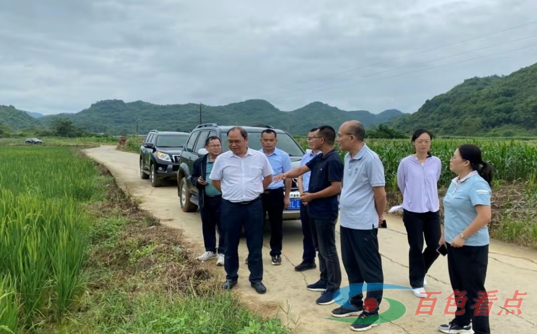 自治区自然资源厅到百色市调研耕地保护工作 自治区自然资源厅到百色市调研耕地保护工作