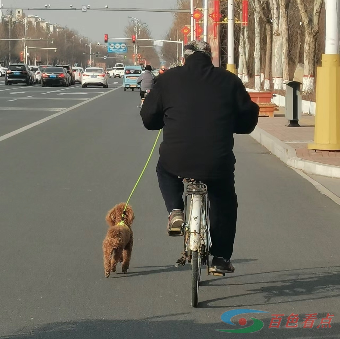 平淡的生活自有平淡力量 