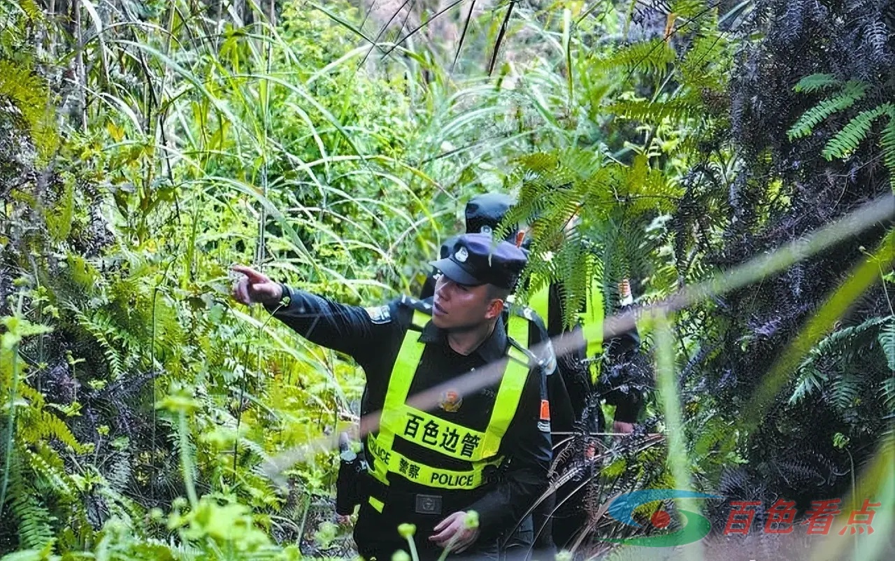 靖西：不畏艰险 穿越丛林巡边踏查 