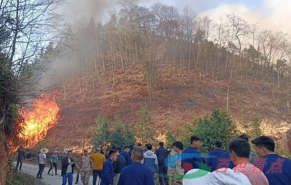 百色乐业山火火势已基本得到控制 