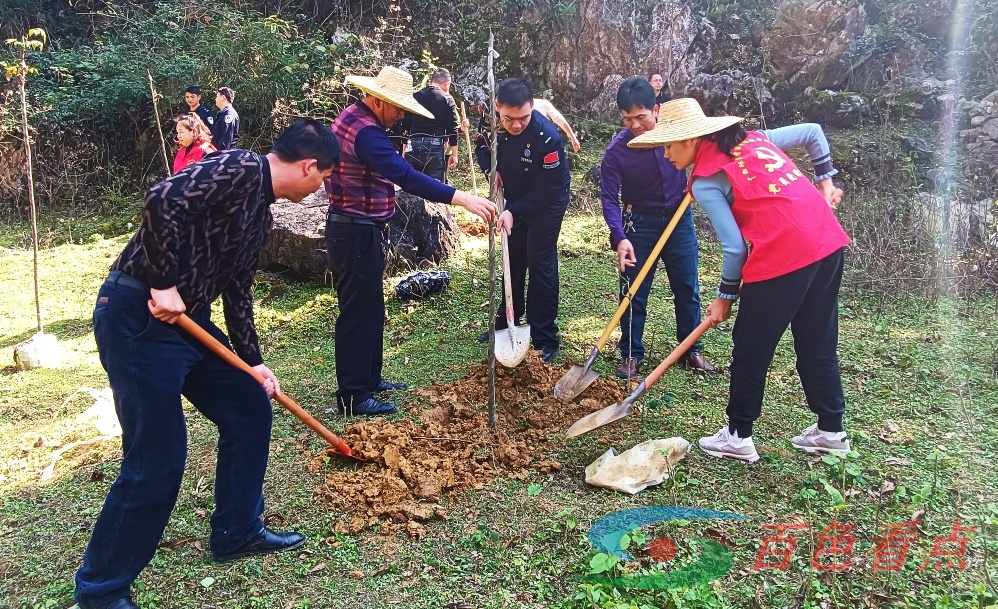 为青山增绿 为党旗添彩 