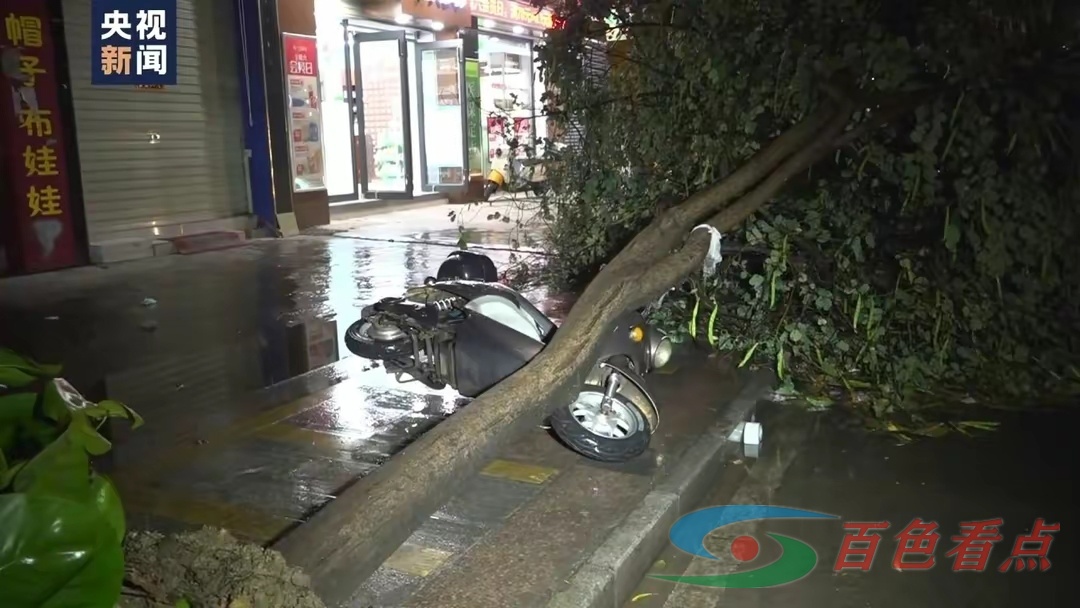 百色田林遭遇雷暴大风 树木倒伏多处积水 天气,林县,出现,田林县,20日