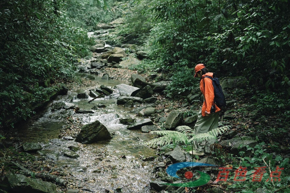 徒步百色岑王老山秘境 又是大自然环境及空气质量检测员的一天 