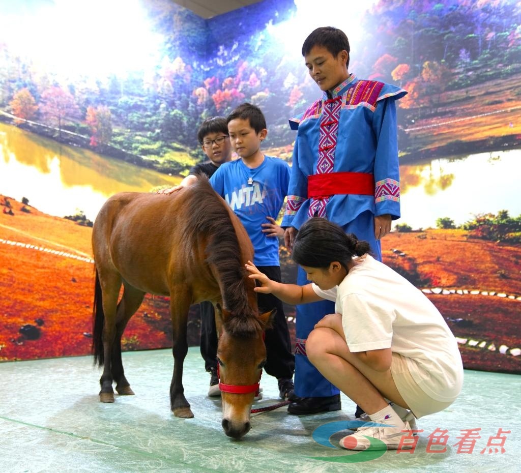 百色德保矮马“首秀”第20届中国国际文化产业博览交易会 