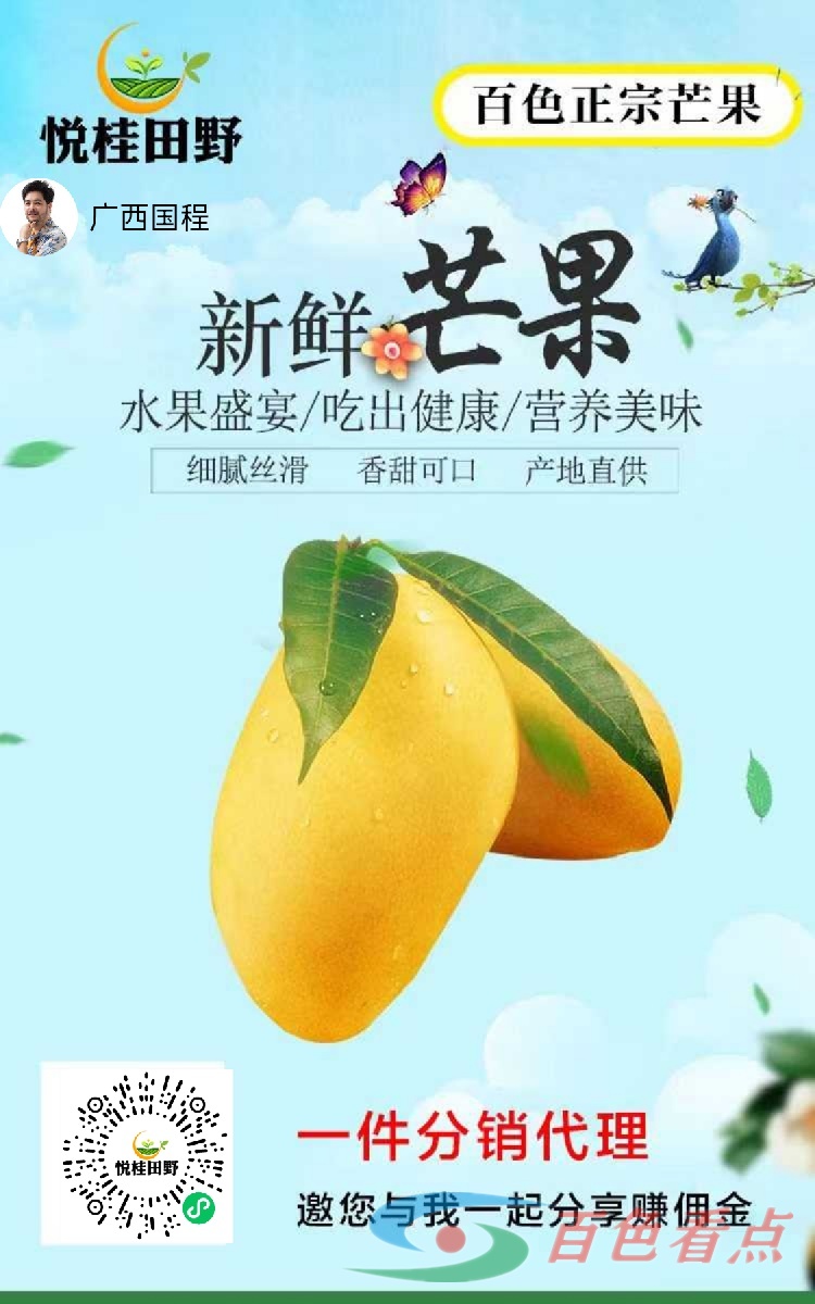 百色芒果准备上市啦！分享就有机会享受佣金补贴 