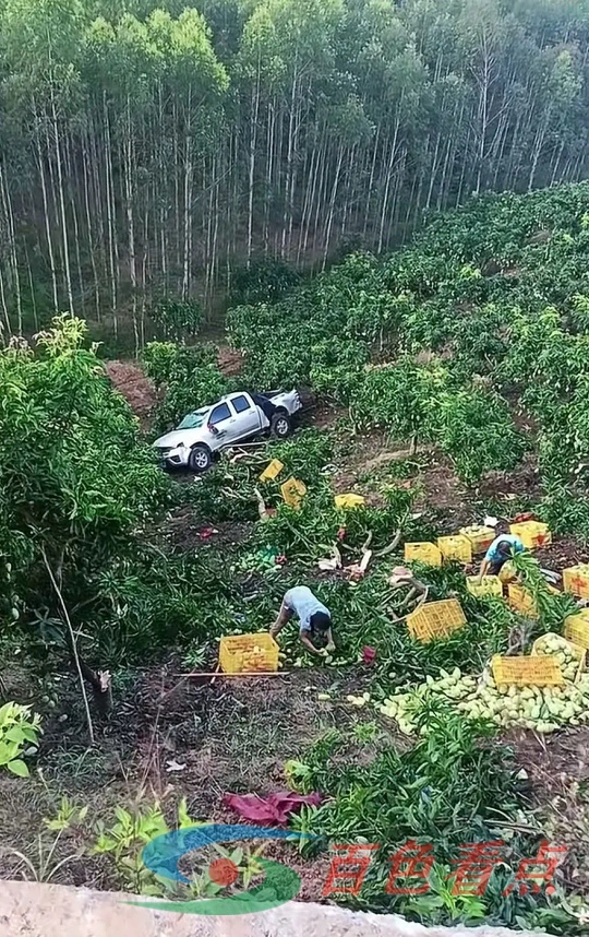 百色田东那单村发生一起车祸 一辆装有芒果的皮卡车翻下山坡 