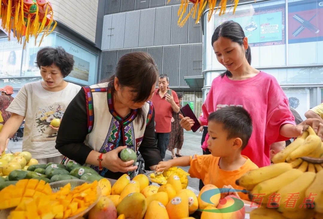 第二届深圳·百色芒果节启动仪式暨百色市现代商贸物流招商推介活动在深圳举行 