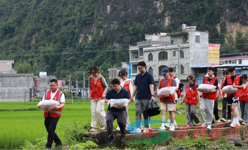 【乡村振兴】魁圩乡平巷村：探索一田多收新“稻”路 万尾鱼苗入秧田 