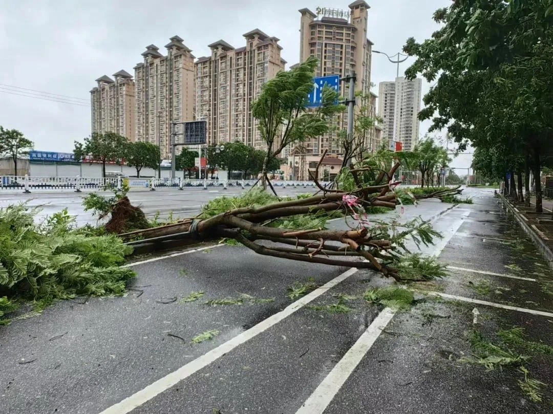 不要松懈！被“摩羯”影响后，今早的北海是这样的→ 