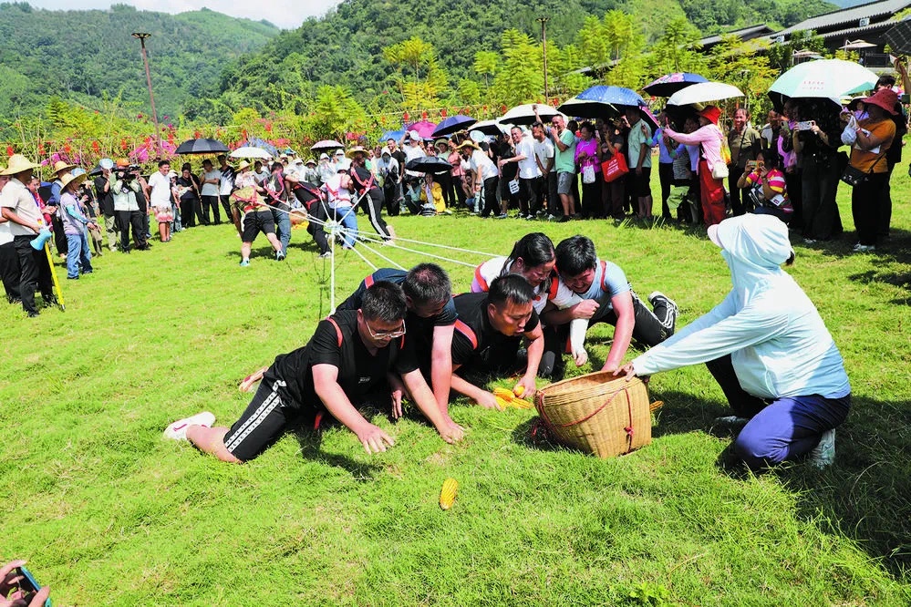 西林举办活动庆祝“中国农民丰收节” 